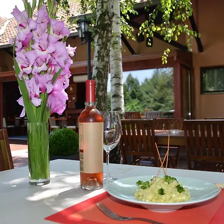 Garni Plava Laguna Ćuprija