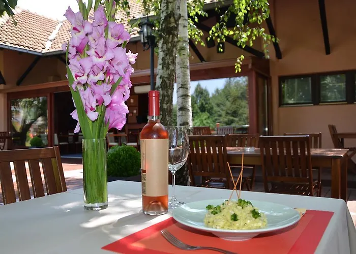 Garni Plava Laguna Ćuprija